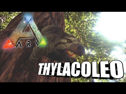 Taming A Thylacoleo | Ark Survival Evolved | The Island