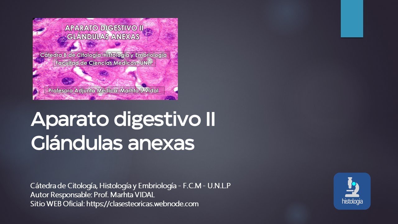 APARATO DIGESTIVO II GLÁNDULAS ANEXAS