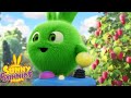 SUNNY BUNNIES - PLAYING VIDEO GAME | Season 7 COMPILATION | Cartoons for Kids