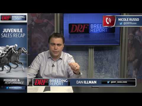 DRF Breeding Report – 2-Year-Olds to Follow