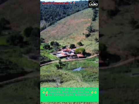 FAZENDA DA AMIZADE 166HA MONTE FORMOSO/MG VALOR R$2.600.000.00 TEL: ☎️33999028393 WHATSAPP