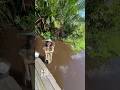 Dayak Mädchen Badet Im Fluss