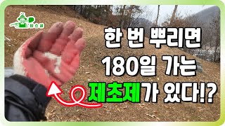 180일동안 지속되는 제초제가 있다?!ㅣ 잔디 빼고 다 죽은다 ㅣ 눈 오면 뿌려주세요