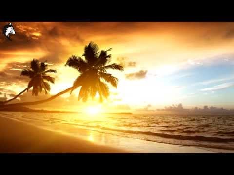 50 Carrot & P0gman - Ja Feel