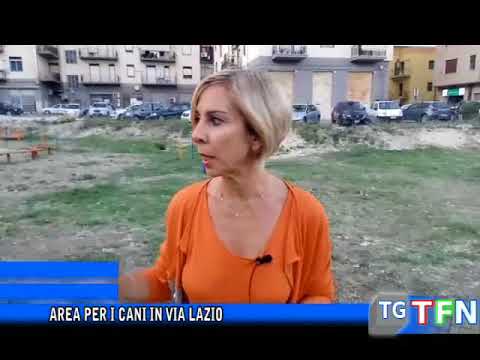 download lagu mp3 mp4 Cani Lazio, download lagu Cani Lazio gratis, unduh video klip Cani Lazio