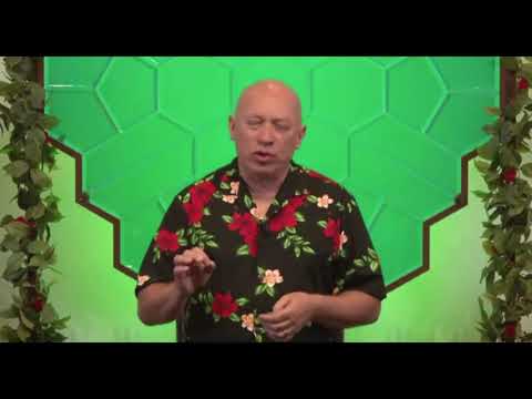 Bashar on Fairy Rings