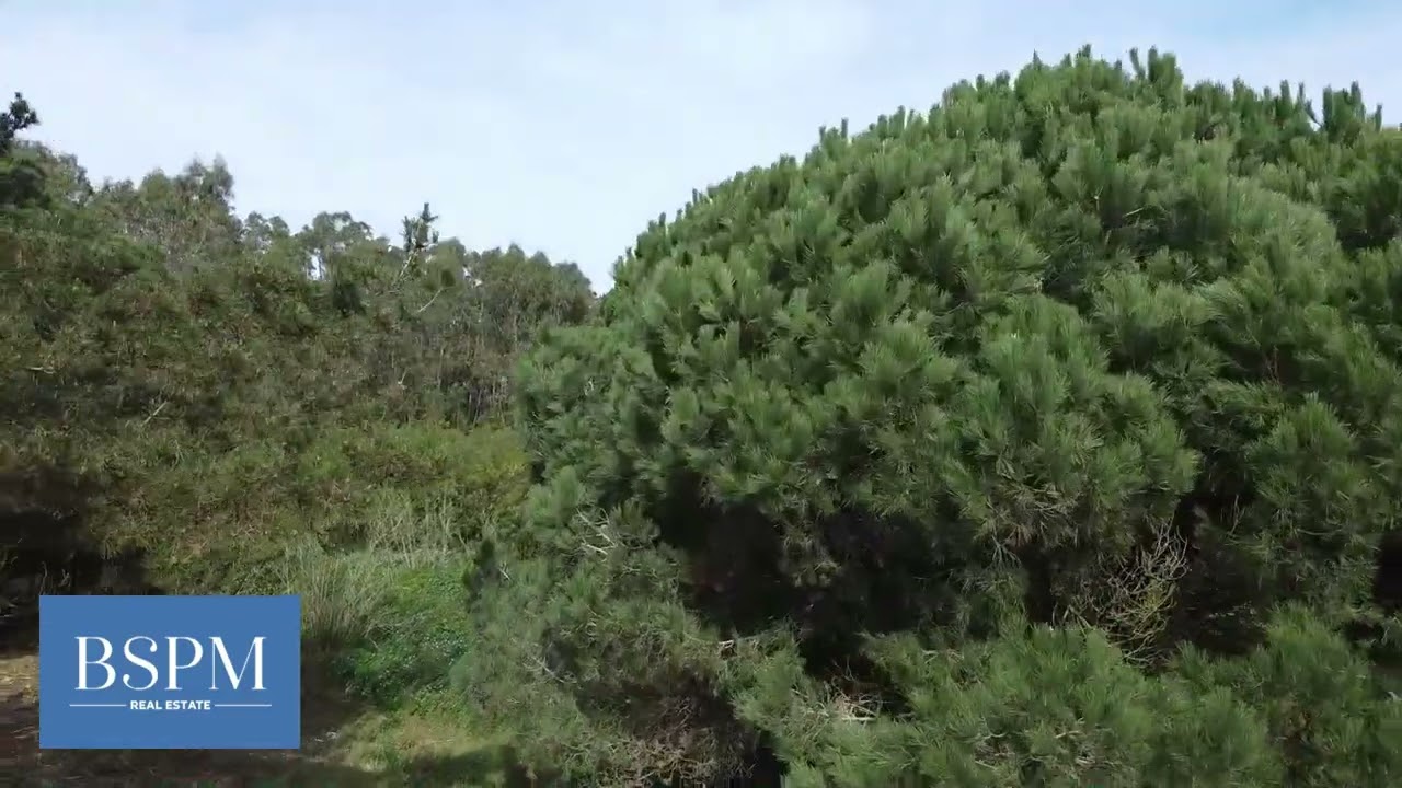 Vídeo do imóvel