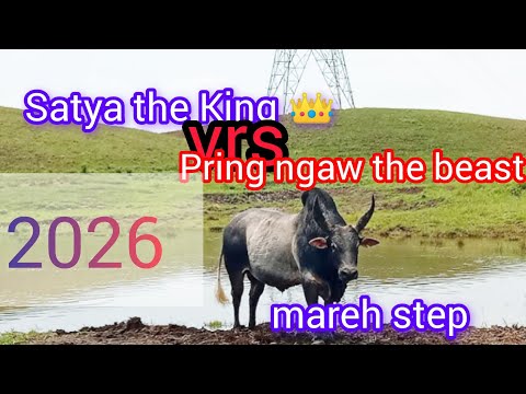 Satya King 👑 dung||mareh step|| pynkhreh 2026||iatur masi||iadaw masi||17.01.26