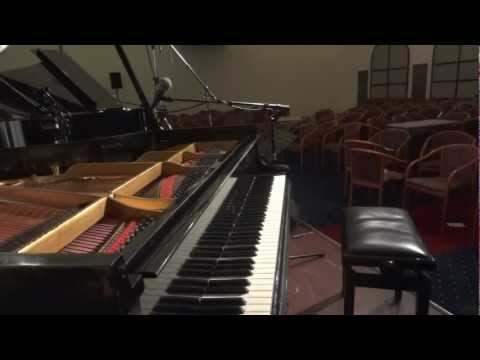 Live Music : Boogie Woogie : 2012 Køge Concert : Andrew Elias, having a bash on a Steinway Grand