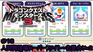 【プレイ動画＃１８】ドラゴンクエストモンスターズ３【人間闘技場スーパーファイト～お見合い×２】
