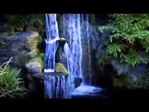 Yahya Bassal Ich Liebe Allah vom Tiefsten Herzen