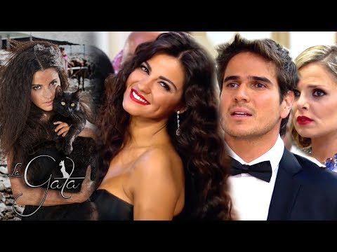La Gata - Capítulo 18: ¡Esmeralda humilla a los Martínez Negrete! | Tlnovelas