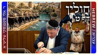 מרכז דף יומי - חולין דף ט. - ר' אלי סטפנסקי שליט"א