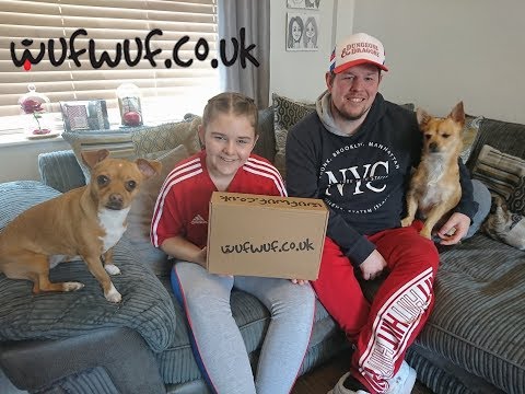 Having Fun Unboxing WUFF WUFF Mystery Dog Box With 2 Speical Guests Our Puppies - UK
