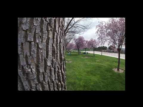 Madrid chapter 49 / Parque Juan Carlos l