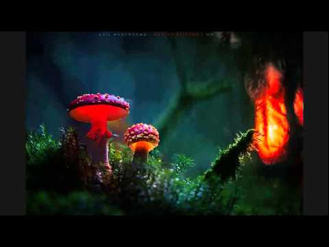 Toxeen - DJ Set - Winter 2015