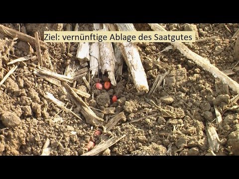 134. Feldexkursion: frühe Weizenaussaat - NU Agrar, 04.09.2019