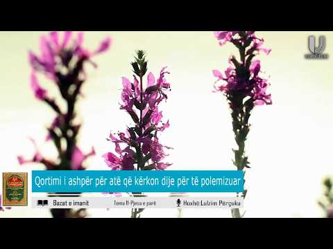 51) Bazat e imanit-Tema e 11 : Qortimi i ashpër për atë që kërkon dije për të polemizuar -P1