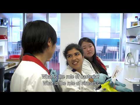 Universal Medical Center Groningen – From Fundamental Research to Clinical Implementation