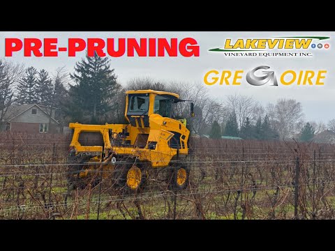 PrePruning Vineyards with a Gregoire GL8.6 Multifunction Tractor