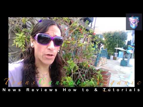 TransCannabisVeganic Jazzy  at the Beach