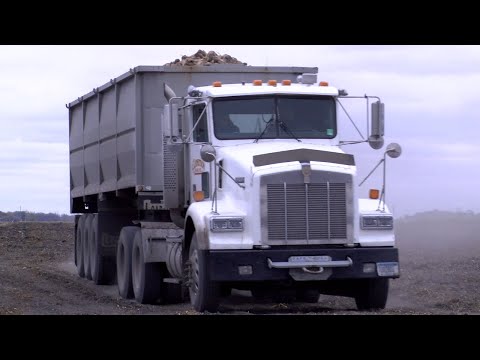 Sugarbeet Harvest Truck Drivers Work Around the Clock