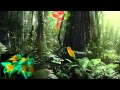 Bobby Lyle - Rain Forest