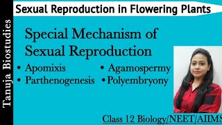 Special Mechanism of Sexual Reproduction |Apomixis | Parthenogenesis | Polyembryony | Class 12/NEET