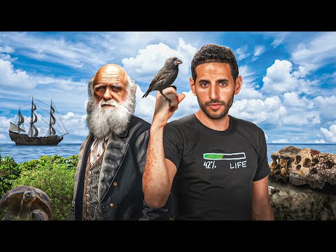 我學習了一個月的無神論。我愛上了一隻鳥。 (I studied Atheism for 1 month. I fell in love with a bird.)