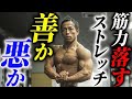 筋トレを愛している人必見!ストレッチは筋力を落とすという噂について日体大准教授が徹底解説!
