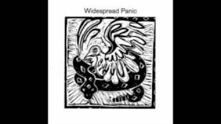 &quot;C.Brown&quot; by Widespread Panic
