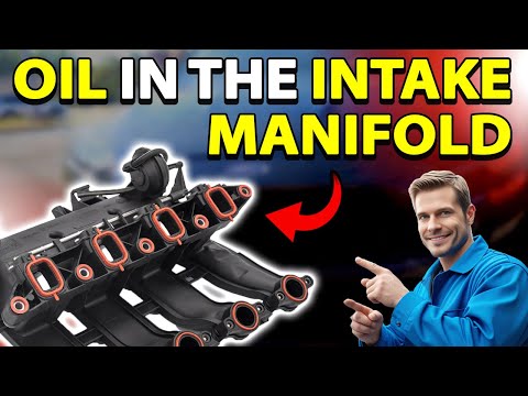 Why Is OIL In The INTAKE MANIFOLD? Most Common REASONS!