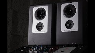Video thumbnail for Barefoot Sound Footprint02 | Studio Monitor | Vintage King by Vintage King