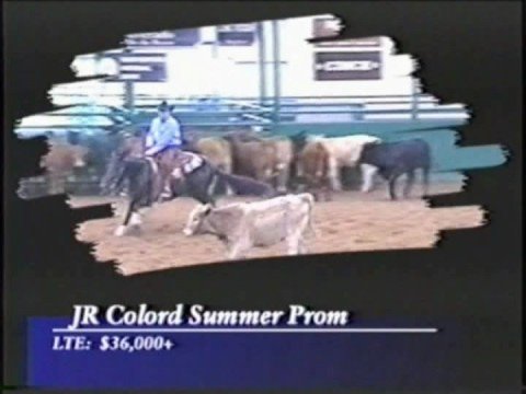 download lagu mp3 mp4 Color Me Smart Stallion, download lagu Color Me Smart Stallion gratis, unduh video klip Color Me Smart Stallion