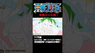 アニメ「#ONEPIECE」見放題配信への追加は木曜日‼️1174話‼️ #onepiece #原撮