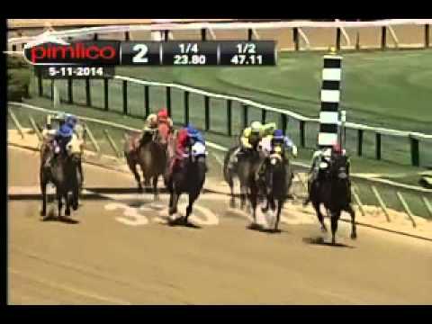 Pimlico 05/11/14 race 2
