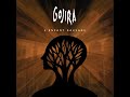 Gojira