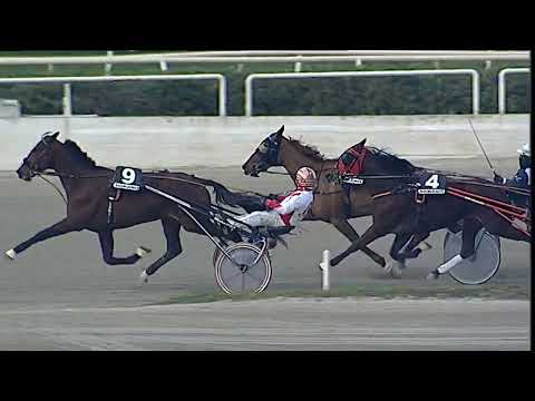 Napoli Trotto 12/02/2023 - 6ª corsa