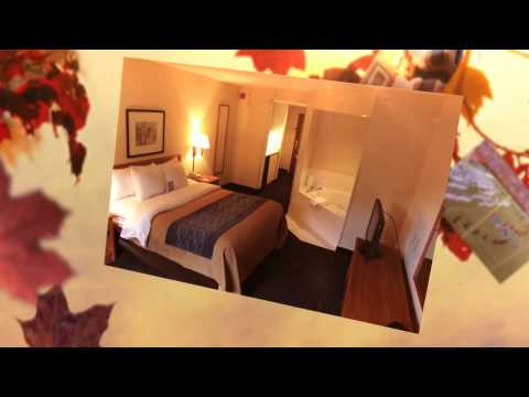 Clean and Comfortable Hotel Rooms Gainesville Florida