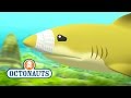 Octonauts Lemon Shark Rescue