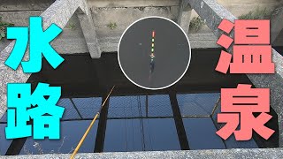 温泉が流れ込む水路でウキ釣り