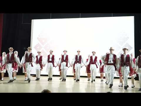 Ansamblul folcloric Danubius Tulcea