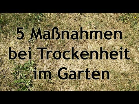 5 Maßnahmen bei Trockenheit im Garten