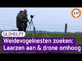 Zo worden weidevogelnesten het beste gevonden l Gelderland Helpt
