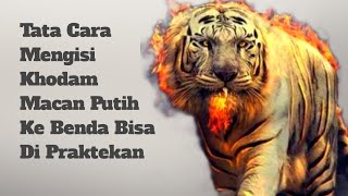 Download lagu Tata Cara Mengisi Khodam Harimau Ke Benda, Bisa Di Praktekan mp3