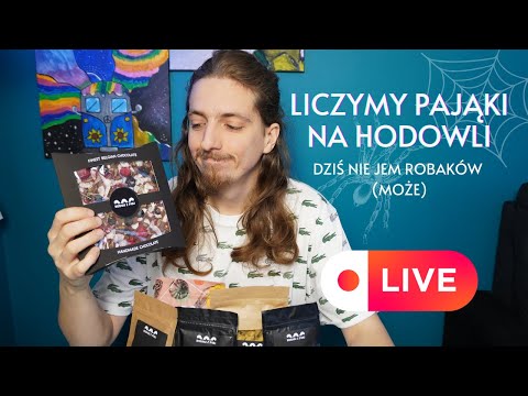 PIERWSZY LIVE W TYM ROKU! Karmimy pająki, ogarniamy hodowle i liczymy je bo sam nie wiem ile mam xD