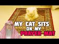 If my cat sits on my prayer mat, is it ok or must I move it aside? - Assim al hakeem