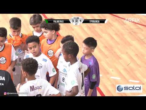 PALMEIRAS X YPIRANGA - MELHORES LANCES DO / MENINO SONHADOR.