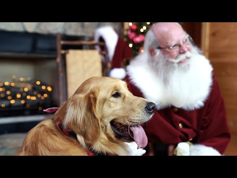 Promotional video thumbnail 2 for The Atlanta Santa