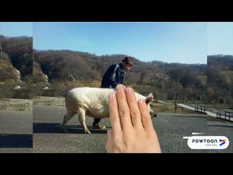 Bursa Proiectelor Scolare - Descopera Vrancea 2019 Echipa CUZA007